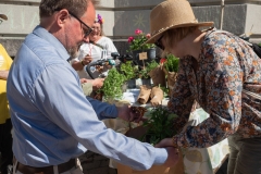 P5192086